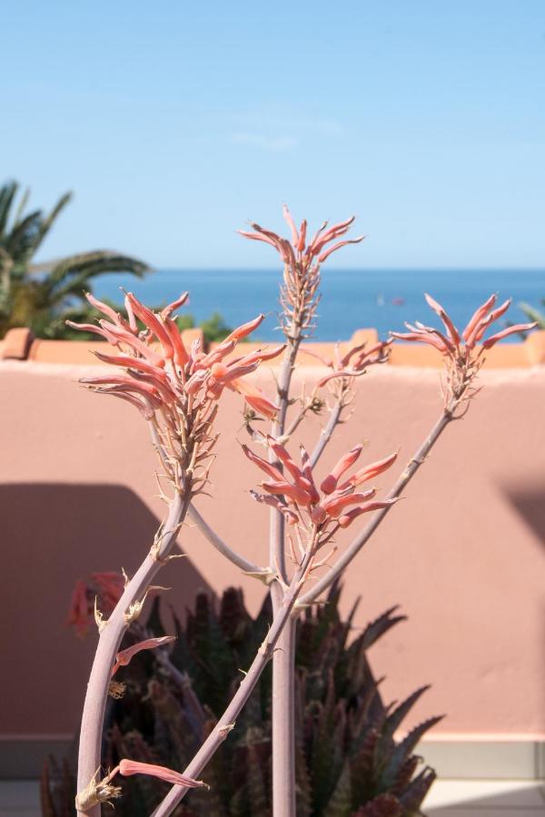 Platy Beach Hotel Exterior foto